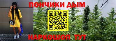 МДПВ Камышлов