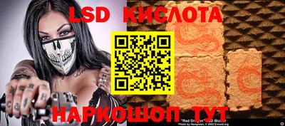 МДПВ Камышлов