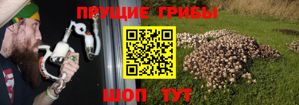 КОКАИН  Гашиш  Марихуана  ГАШИШ  Вход с VPN  Кумертау  Меф   Где найти наркотики?  Кодеин 