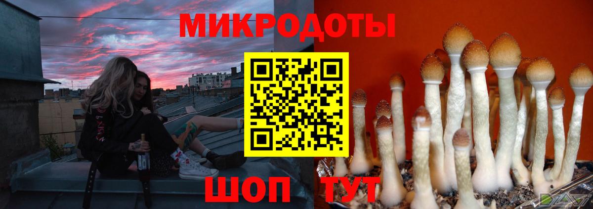 Галлюциногенные грибы GOLDEN TEACHER Кумертау