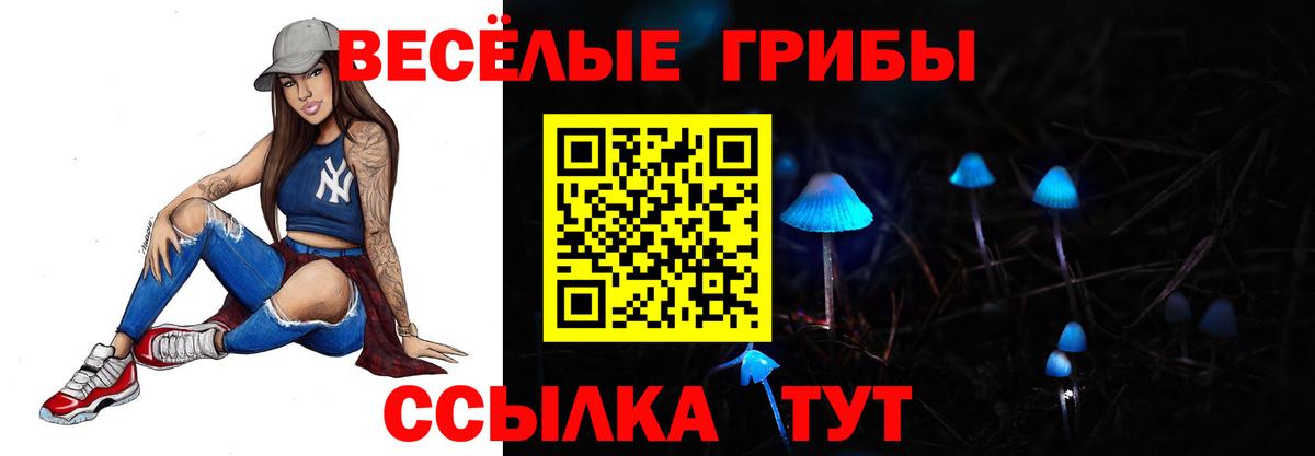 Галлюциногенные грибы Cubensis  Вход с VPN  Кумертау 